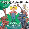 Die Akustikgitarre