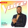 About Freedom-The Voice Performance Song