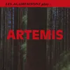 About Artemis Song