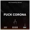 About Fuck Corona Song