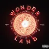 About Wonderland Song