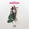 About Exotica Song