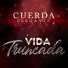 About Vida Truncada Song