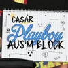 Playboy ausm Block