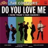 Do You Love Me Mono Single