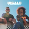About Digale Song