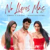 About No Llores Más Song