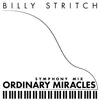 About Ordinary Miracles Symphony Mix Song
