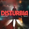 About Disturbia Song