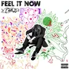 About Feel It Now Song