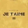 About Je t'aime Song