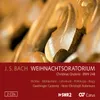 J.S. Bach: Christmas Oratorio, BWV 248 / Part One - For the First Day of Christmas - No. 7, Er ist auf Erden kommen arm, Wer will die Liebe recht erhöhn