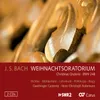 About J.S. Bach: Christmas Oratorio, BWV 248 / Part Two - For the Second Day of Christmas - No. 19, Schlafe, mein Liebster, geniesse der Ruh Song