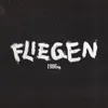 About Fliegen Song