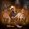 About Te Pesará Song