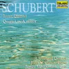 Schubert: String Quartet No. 13 in A Minor, Op. 29, D. 804 "Rosamunde": I. Allegro ma non troppo