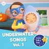 About Swimming Song Song