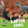About Raptor Song Song