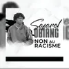 About Non au racisme Song