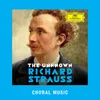 R. Strauss: Sieben vierstimmige Lieder, TrV 92 - 7. Trübe blinken nur die Sterne