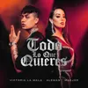 About Todo Lo Que Quieres (Can't Remember) Song