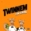 About TWINNEM Song