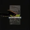 About Schwarz Song