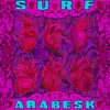 About Hayal Etmek Güzel-Surf Arabesk 1.3 Song