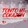 About Tonto Mi Corazón Song