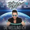 About Die Welt und ich Song