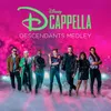 About Descendants Medley Song