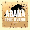 About Abana Song