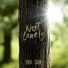 About Not Lonely Song
