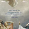 J.S. Bach: Oster Oratorium, BWV 249 - VI. Recitativo: "Hier ist die Gruft"