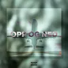 About Opp Og Ned Song
