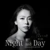 About Night And Day Song
