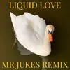 About Liquid Love-Mr Jukes Remix Song
