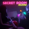 About Secret Room Song