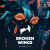 About Broken Wings Song