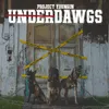 About Underdawgs Song