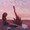 About Dreaming Song