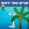 12 ירחים