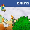 ברווזים