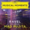 About Ravel: Pavane pour une infante defunte, M. 19 Song