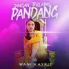 About Jangan Terlepas Pandang Song