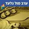 About ערב מול גלעד Song