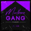 About Marlboro Gang Song
