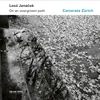 About Janáček: On An Overgrown Path (Po zarostlém chodnicku), JW 8/17 - Arr. Rumler for String Orchestra / Paralipomena - 13. Più mosso Song