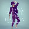 About Triana, Puente Y La Habana Song