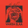 About Vaikea elää Song